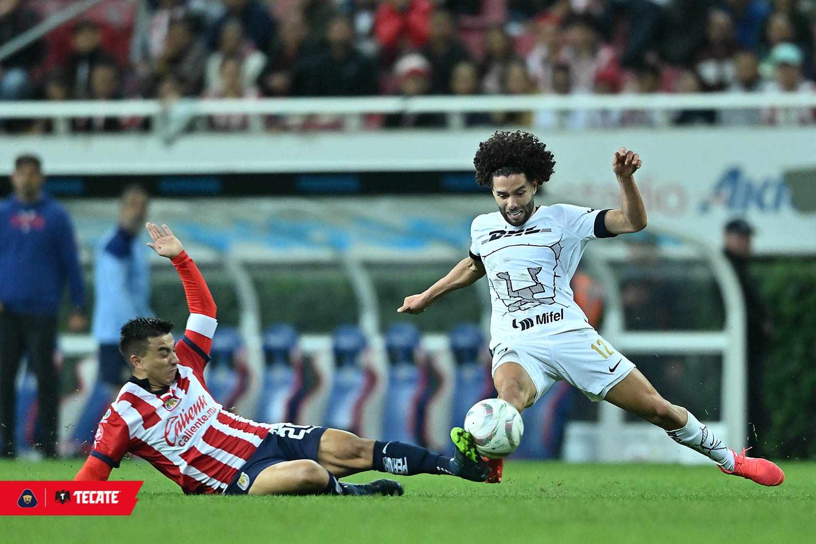 ¿Chivas con ARBITRAJE A FAVOR para la vuelta de Cuartos de Final vs Pumas?