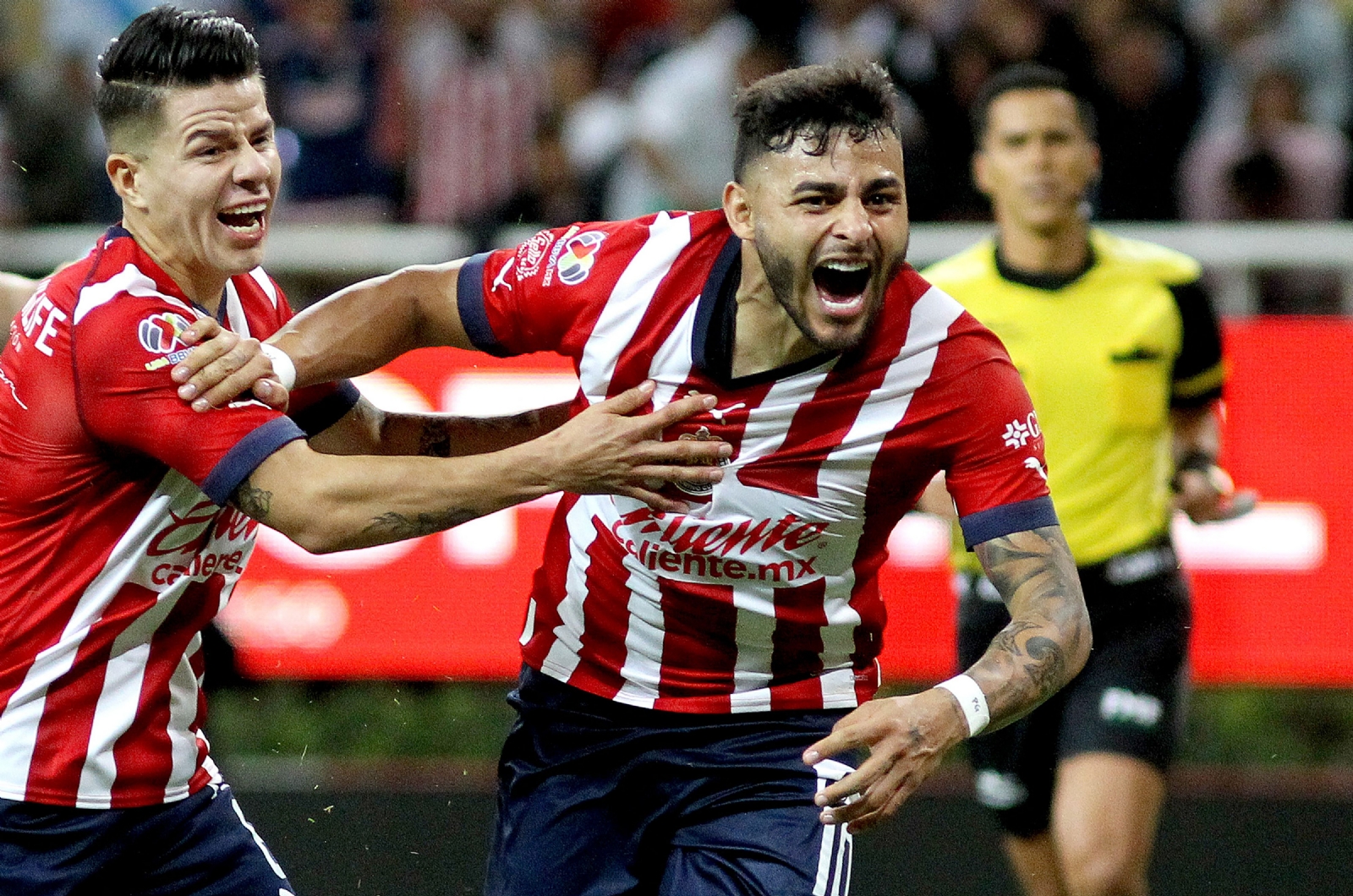 Veljko Paunovic con DUDAS para el Clásico Tapatío entre Chivas y Atlas