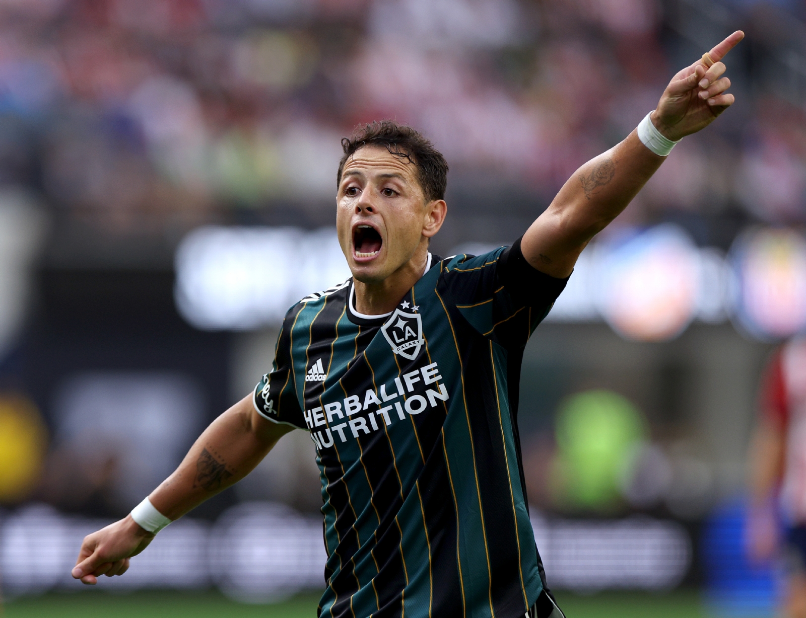 ¿Quiénes son los reemplazos de Javier Hernández en la Selección Mexicana?