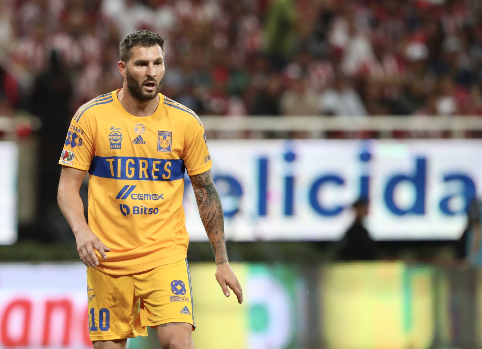 Demuestran LA INFLUENCIA que ha tenido André-Pierre Gignac desde que llegó a Tigres