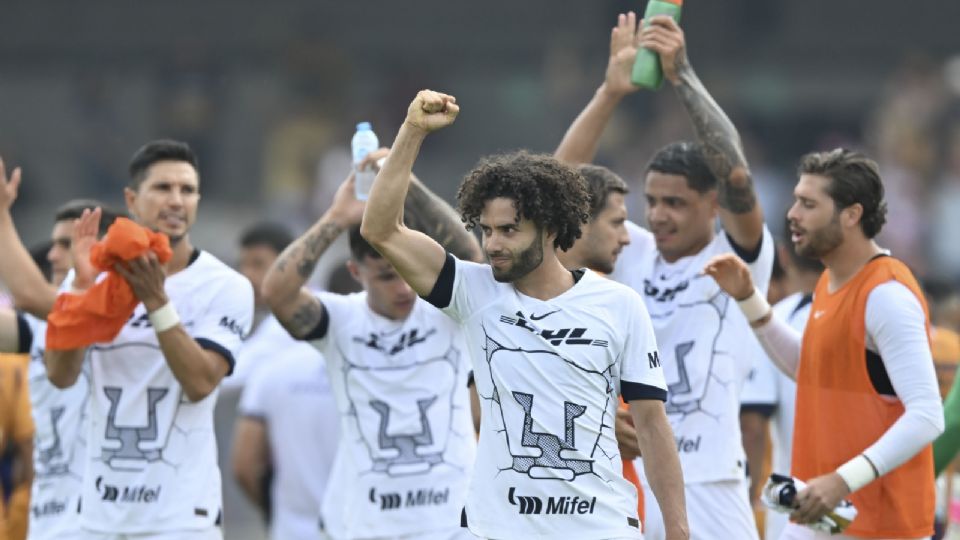 Pumas