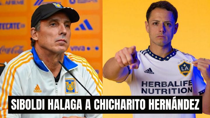 ¡Hasta Tigres le da la bienvenida! Dante Siboldi habla del REGRESO de Chicharito a Chivas