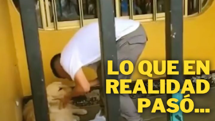 Corazón ROTO: Piero Quispe explica por qué tuvo que dejar a su perro en Perú tras fichar con Pumas