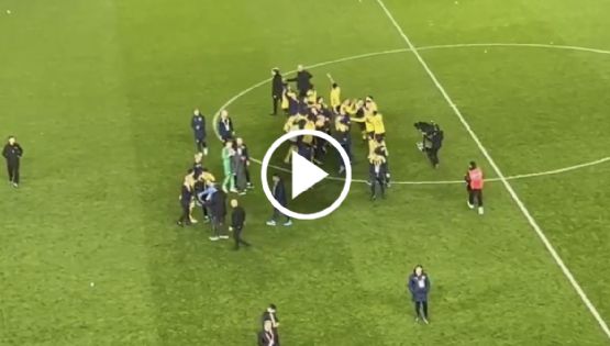 Video: Jugador del Fenerbahce AGARRA A GOLPES a aficionado del Trabzonspor