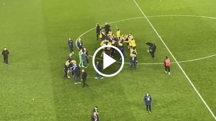 Video: Jugador del Fenerbahce AGARRA A GOLPES a aficionado del Trabzonspor