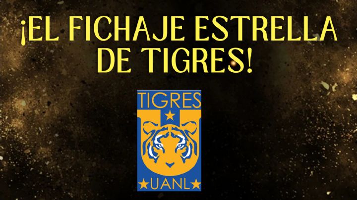 La BOMBA en la delantera que Tigres está a punto de CERRAR para el Apertura 2024